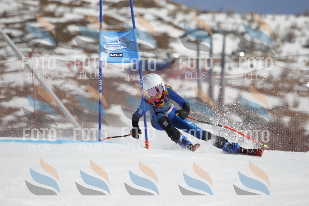 _U3G0210 | holidayphoto