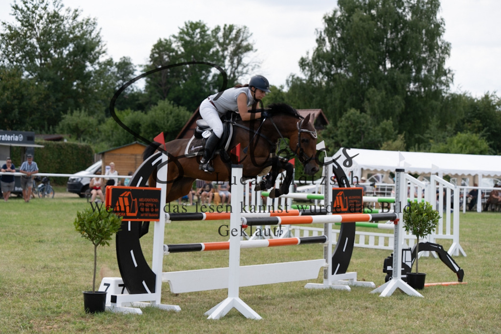 A7V02117 | Pferdefotograf