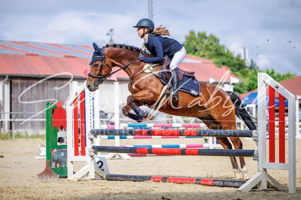20260705-_3LI3909 | Tierfotografie Pferde, Hunde, Katzen, Haustiere.
Turnierfotografie Reitturniere, Reiten, Springreiten, Dressur in Hanau, dem Main-Kinzig-Kreis und dem Rhein-Main- Gebiet um Frankfurt