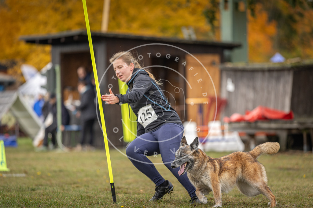 Pfotenfotografie_DV3A6664 | Hundefotografie, Tierfotograf, Pfotenfotografie, Fotoshooting Hund, Hunde Portrait, Hundesport, Hundeportraits, Heideshooting, Hunde, Sportfotograf, Hundefotograf, Turnierhundsport, THS,  - Realisiert mit Pictrs.com
