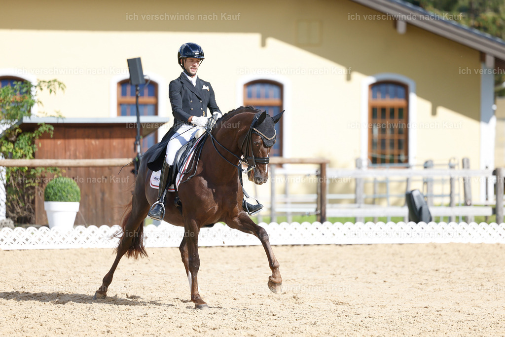 09_2-069-DRESSUR  S_  -StoibPH-5831 | working equitationturnier fotograf videograf stoibphotography marixx film working equitation deutschland reitsport turnierfotografie eventfotografie equestrian events