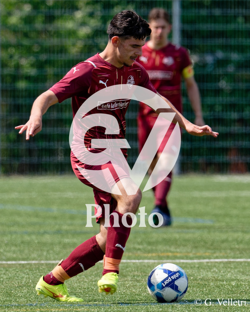 DSC_1253 | Velletri Photo