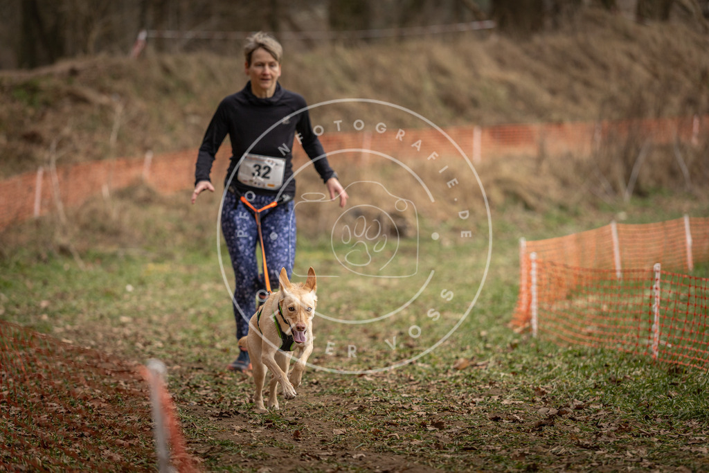 Pfotenfotografie_DV3A9091 | Hundefotografie, Tierfotograf, Pfotenfotografie, Fotoshooting Hund, Hunde Portrait, Hundesport, Hundeportraits, Heideshooting, Hunde, Sportfotograf, Hundefotograf, Turnierhundsport, THS,  - Realisiert mit Pictrs.com