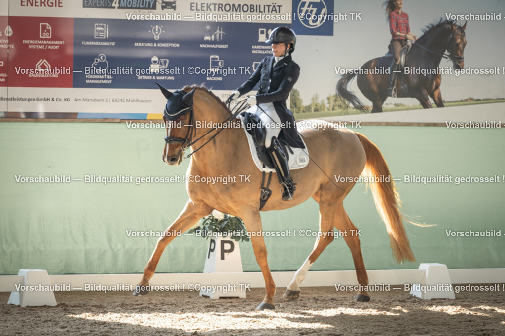 _D5A1349 | Emotionale Pferde- & People-Fotografie rund um Heidelberg, Leimen & Umgebung. Natürliche Fotos von Pferd, Mensch & Familie. Jetzt Termin sichern!