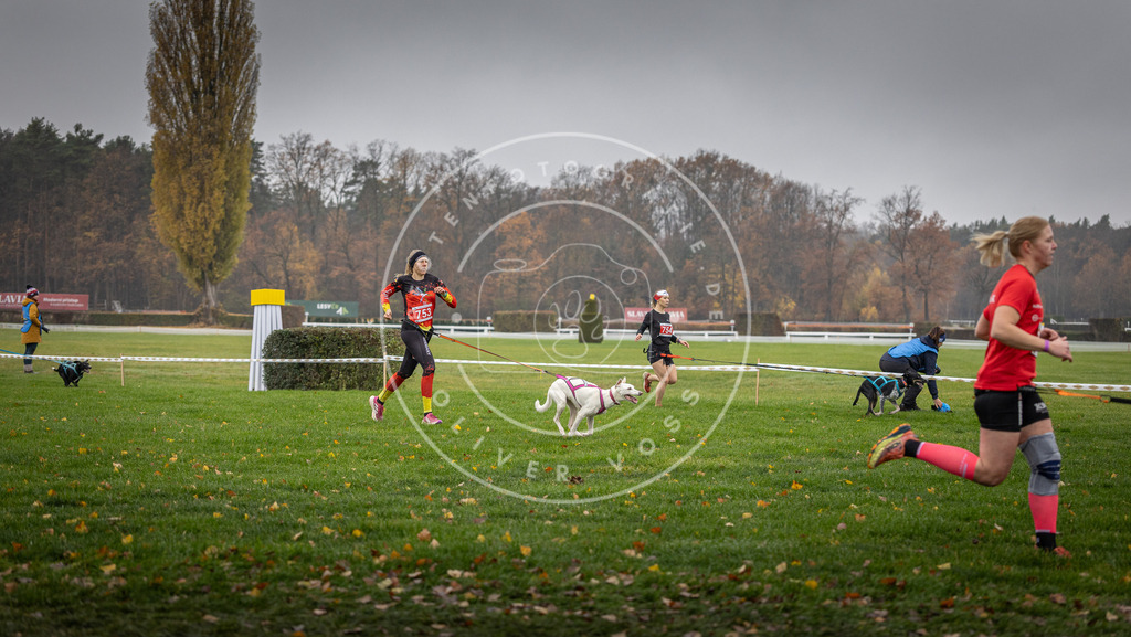 CaniXpix_DV3A8877 | Hundefotografie, Tierfotograf, Pfotenfotografie, Fotoshooting Hund, Hunde Portrait, Hundesport, Hundeportraits, Heideshooting, Hunde, Sportfotograf, Hundefotograf, Turnierhundsport, THS,  - Realisiert mit Pictrs.com