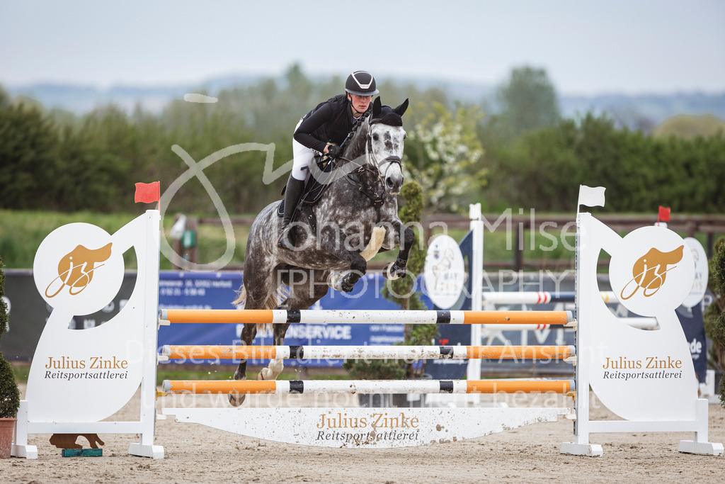 250417_Springpferde-L1-251 | Deine schönsten Turniermomente als professionelle Fotos! Entdecke hochwertige Pferdesport-Fotografie im Online-Shop. Jetzt Fotos finden & bestellen!