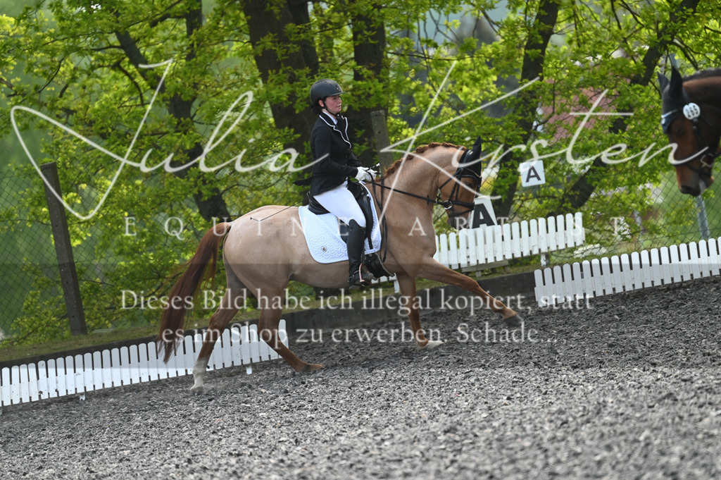 20230512_JK-Röhrsdorf-01-110 | Pferde- und Turnierfotografie in Westsachsen. Pferdeportraits, Auftragszeichnungen und intuitive Kunst.