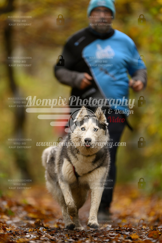 MompixPhotography_CD7S_DI_CCL-76 | mompixphotography