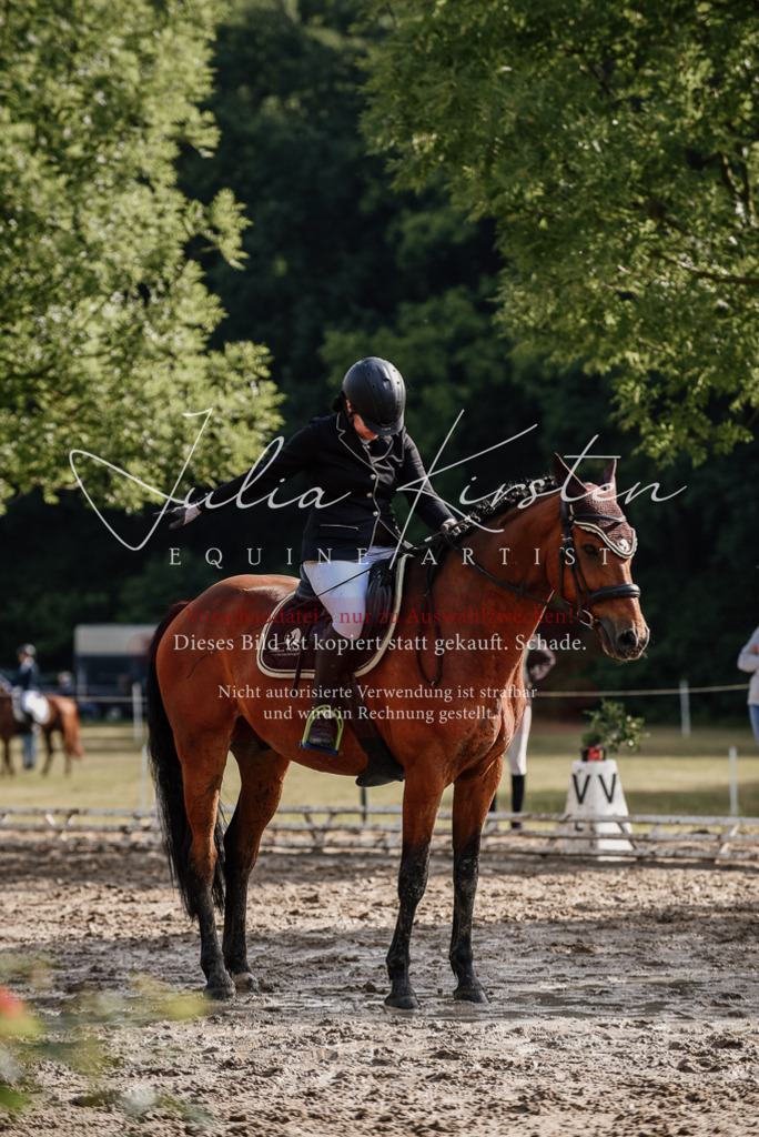 DSC_8537 | Pferde- und Turnierfotografie in Westsachsen. Pferdeportraits, Auftragszeichnungen und intuitive Kunst.