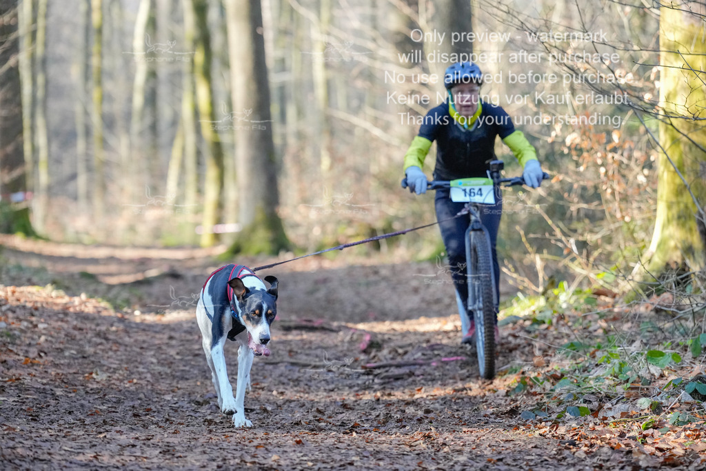 Scooter_So_So-18 | stephaniefillaphotographie - Realisiert mit Pictrs.com