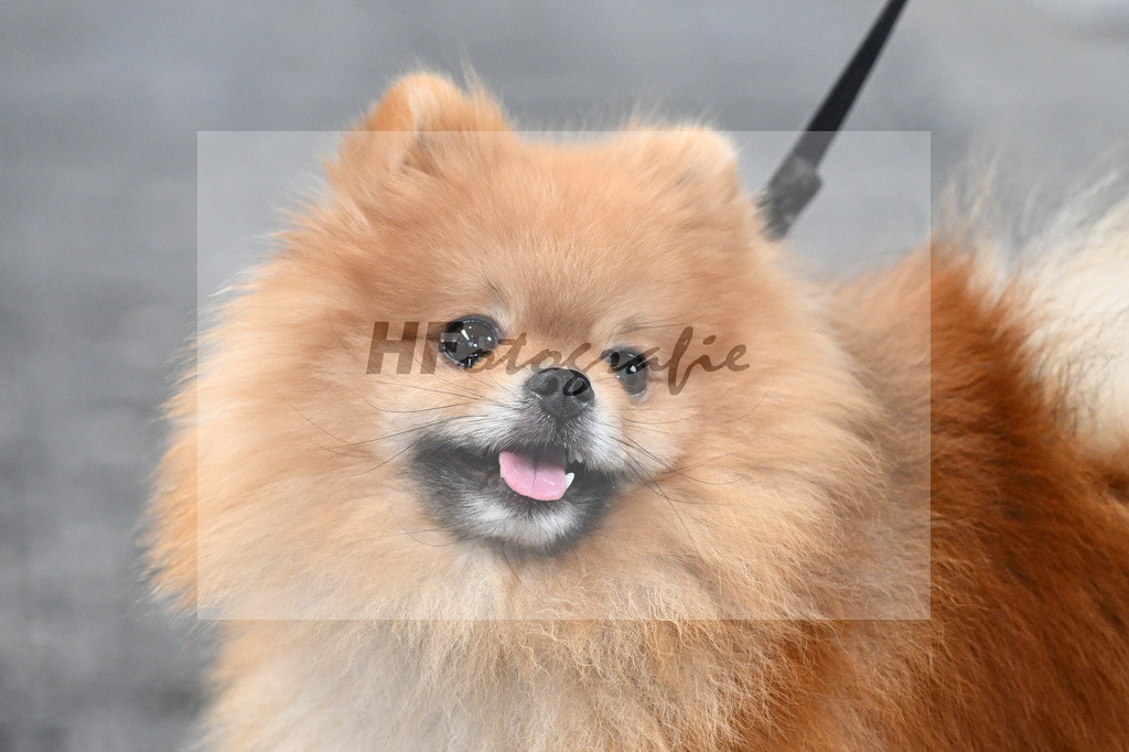 Impressionen_5251532 | hf-fotografie - Realisiert mit Pictrs.com