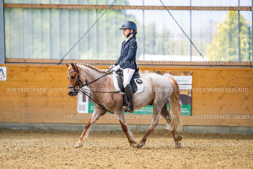 DSC02517 | Pferdegrafie