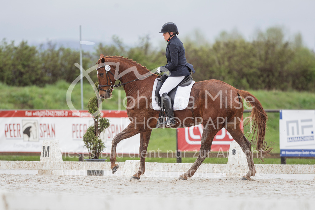 240401_Fruehlingsfest_A1-Dressur-420 | Deine schönsten Turniermomente als professionelle Fotos! Entdecke hochwertige Pferdesport-Fotografie im Online-Shop. Jetzt Fotos finden & bestellen!