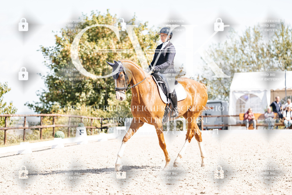 CK903149 | Turnierfotografie Pferdefotografie Trier Rheinland-Pfalz Pferdesport Reitsport Tierfotografie Sportfotografie Pferdevideo Pferdevideografie Equestrianvideography equestrianphotography  - Realisiert mit Pictrs.com