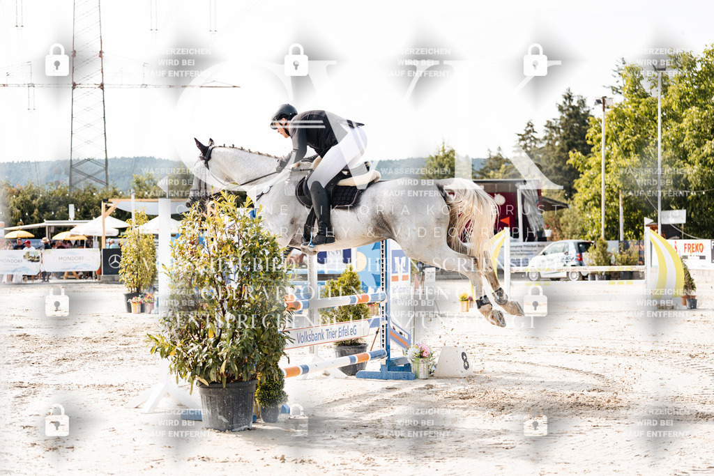 CK905581 | Turnierfotografie Pferdefotografie Trier Rheinland-Pfalz Pferdesport Reitsport Tierfotografie Sportfotografie Pferdevideo Pferdevideografie Equestrianvideography equestrianphotography  - Realisiert mit Pictrs.com