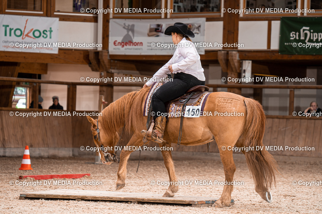 Heidelberg Tag 2-305 | dv-media-shop - Realisiert mit Pictrs.com