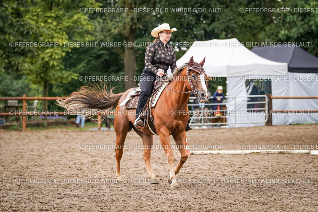 DSC04016 | Pferdegrafie