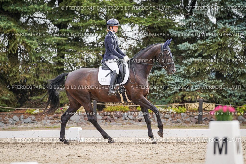 DSC01856 | Pferdegrafie