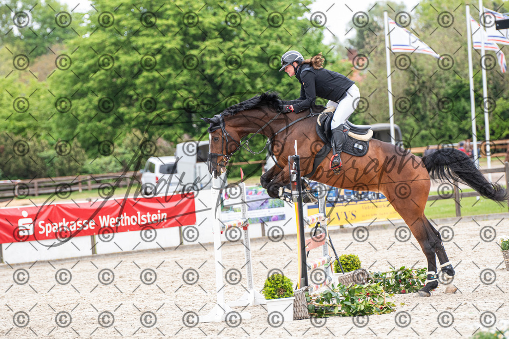 KPT_8662 | andre_photographic