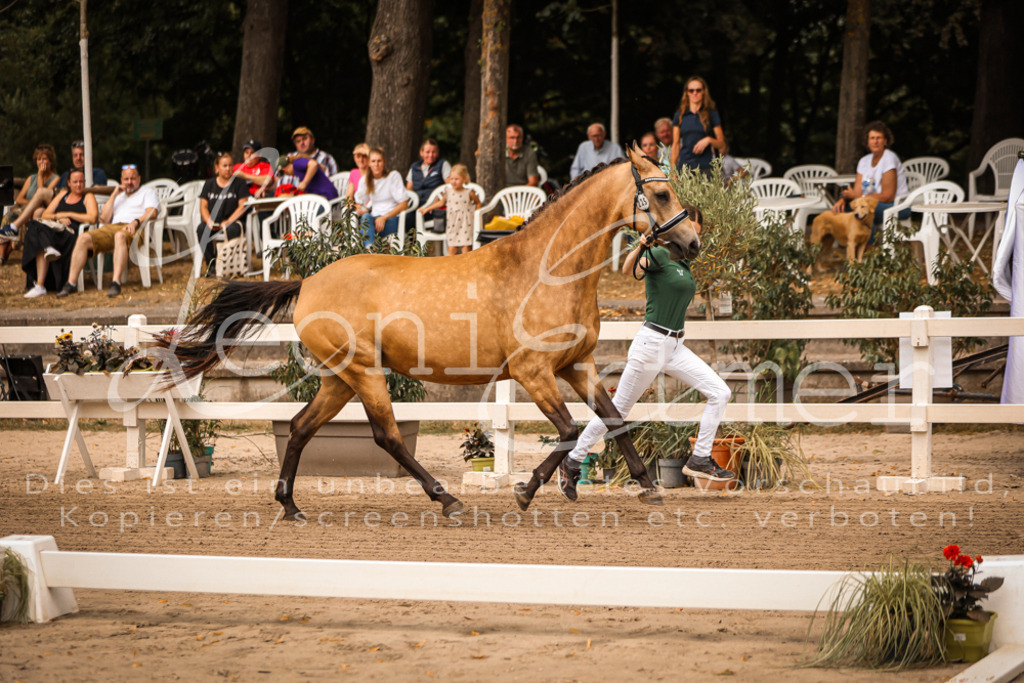 07.So00024 | Leoni Ertmer Photography - Realisiert mit Pictrs.com