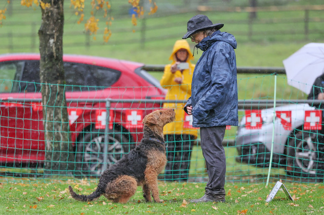 2025_Rally_Obedience_SM-225 | Ich fotografiere Hundeausstellungen, Sportanlässe, Zuchtstätten, Hundezucht, Hundeportrait, Lagotto - Realisiert mit Pictrs.com