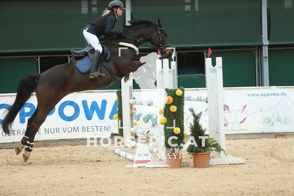 DL2Q6924 | Willkommen bei Brunnmayr - Design & Fotografie – Ihrem Spezialisten für Reitturniere und Pferdeveranstaltungen in Oberösterreich, Salzburg und Bayern! Seit über 17 Jahren sind wir leidenschaftlich dabei.