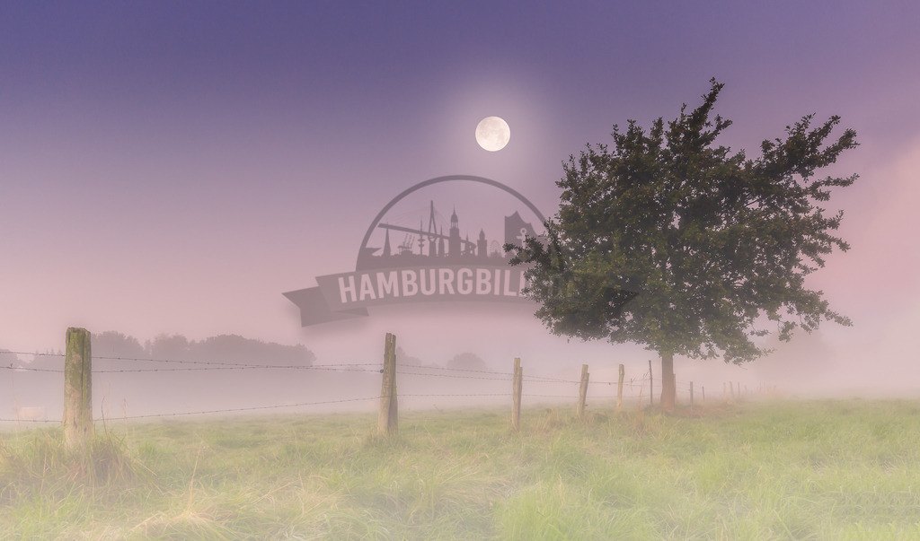 stativkunst-470 | Exklusive Hamburg collagen, tolle Segelbilder und viele weitere tolle Motive auf Leinwand, Poster, Alu-Dibond, u.v.m. findet Ihr bei uns auf hamburgbild.de. Findet Euer Wandbild für Euer Zuhause, Büro oder die  Praxis…. - Realisiert mit Pictrs.com