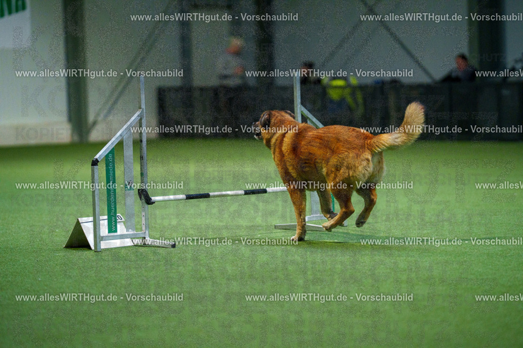 7R500671 | Professionelle Tierfotografie in Mönchengladbach von Daniel Wirth (allesWIRTHgut). Liebevolle & natürliche Bilder von Hunden & Katzen für unvergessliche Erinnerungen.