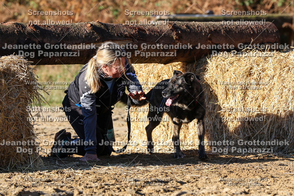 Dog Paparazzi - Strongdog 10-25-1695 | Dog Paparazzi Jeanette Grottendiek Fotografie & Videografie - Realisiert mit Pictrs.com