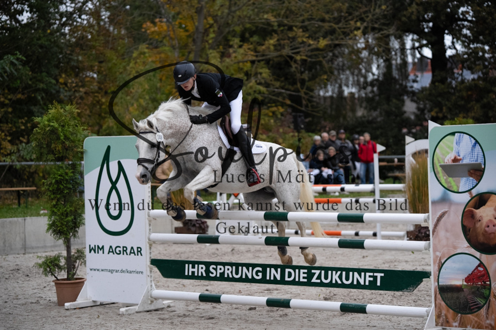 A7V08866 | Turnier/Reitfotograf