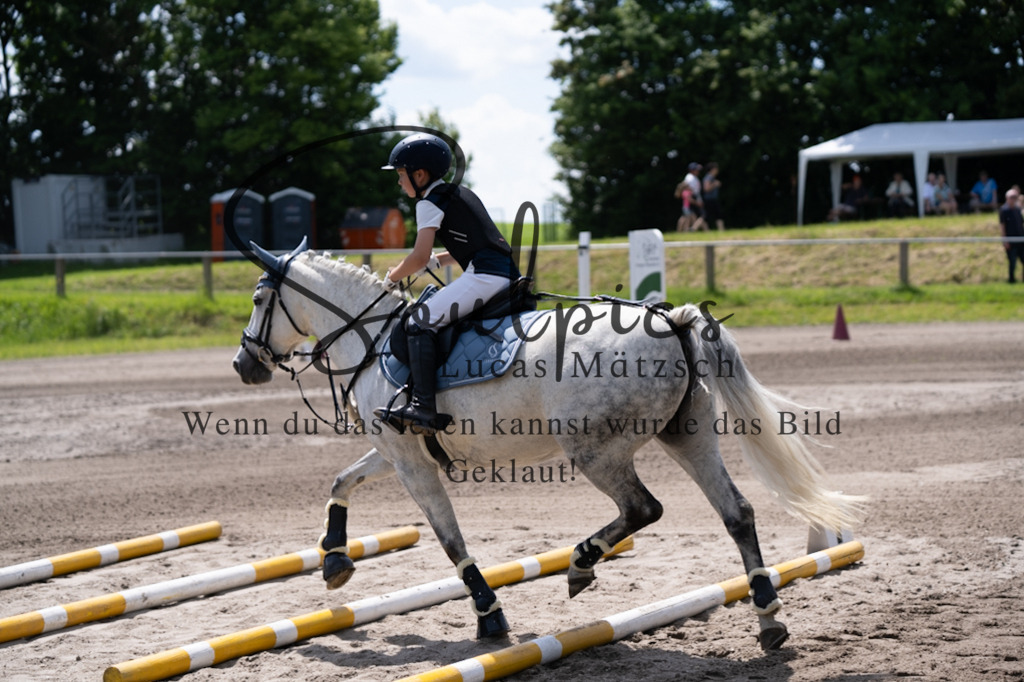 A7V03023 | Pferdefotograf