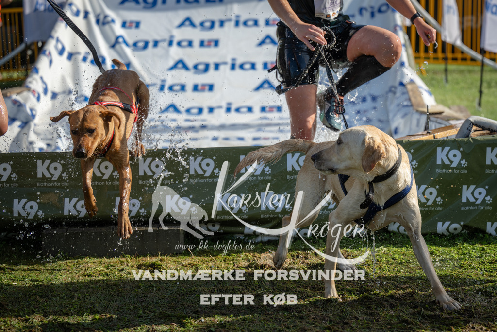 0939_ZZ96642 | kk-dogfotos