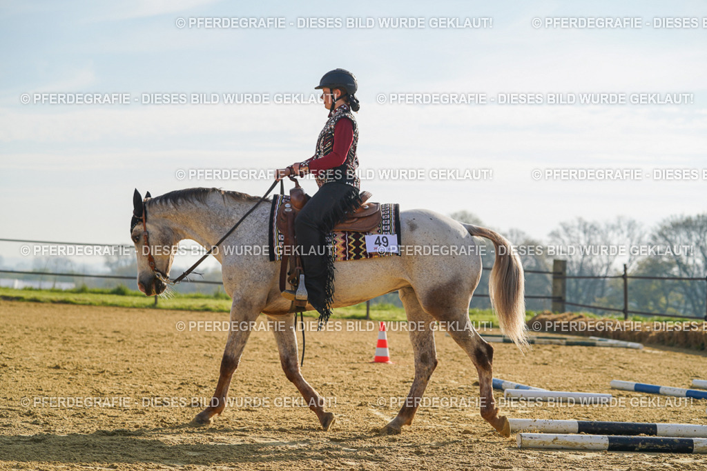 DSC00827 | Pferdegrafie