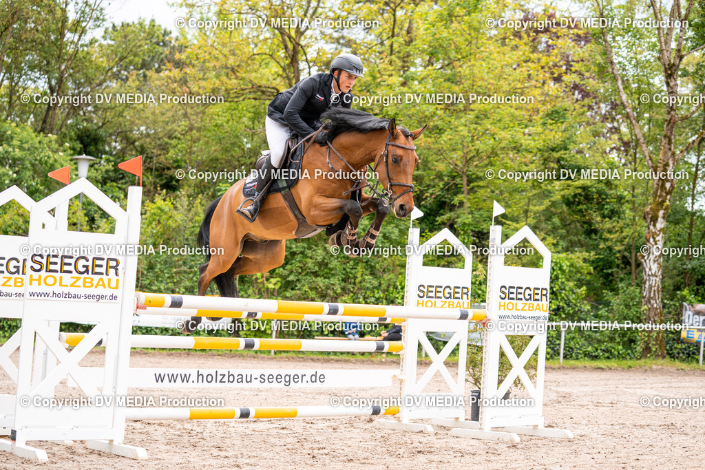 Eppelheim Tag 1-147 | dv-media-shop - Realisiert mit Pictrs.com