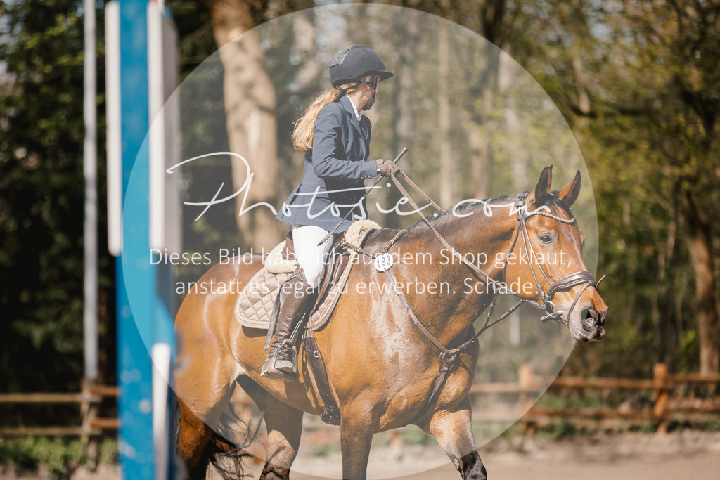 3I6A3962 | Stimmungsvolle Portraits und Reitsportfotografie im Ruhrgebiet und im Münsterland.

Pferdefotografie, Hundefotografie, Tierfotografie, Reportagen, Portraits von Tier und Mensch, Turnierfotografie in Bochum, Recklinghausen, Marl, Haltern am See, Dülmen.. - Realisiert mit Pictrs.com