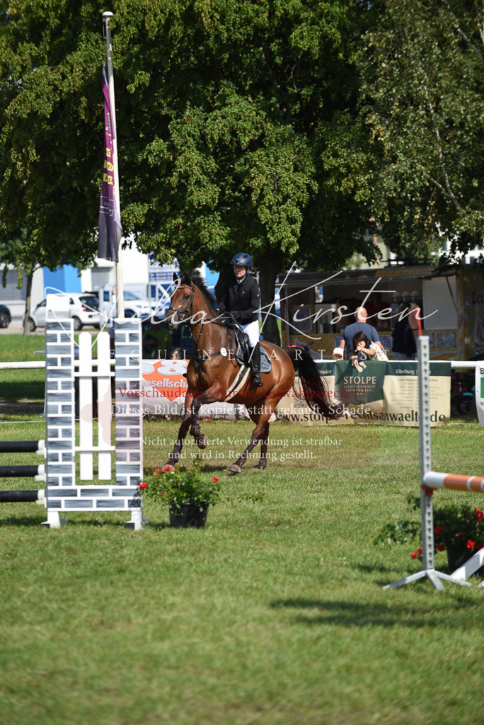 DSC_9099 | Pferde- und Turnierfotografie in Westsachsen. Pferdeportraits, Auftragszeichnungen und intuitive Kunst.