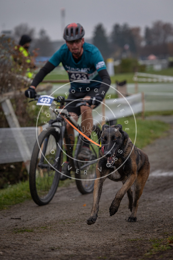 CaniXpix_0L8A1717 | Hundefotografie, Tierfotograf, Pfotenfotografie, Fotoshooting Hund, Hunde Portrait, Hundesport, Hundeportraits, Heideshooting, Hunde, Sportfotograf, Hundefotograf, Turnierhundsport, THS,  - Realisiert mit Pictrs.com