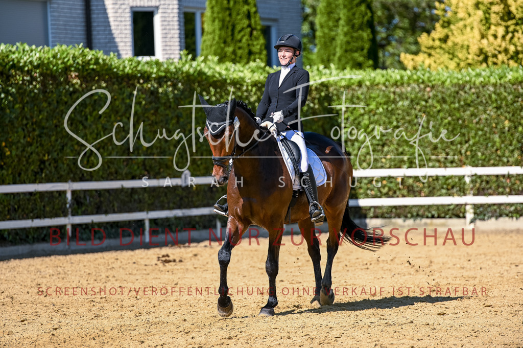 Schugtsche-Aluta25-50.Dressurpferdeprf.L-176 | Schugtsche Fotografie - Realisiert mit Pictrs.com