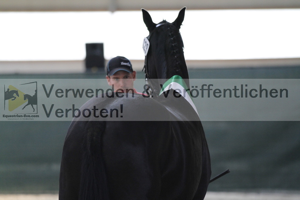 _MG_0072 | equestrian-live-com