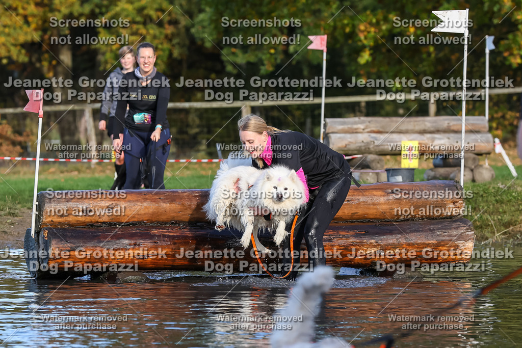 Dog Paparazzi - Strongdog 10-25-8600 | Dog Paparazzi Jeanette Grottendiek Fotografie & Videografie - Realisiert mit Pictrs.com