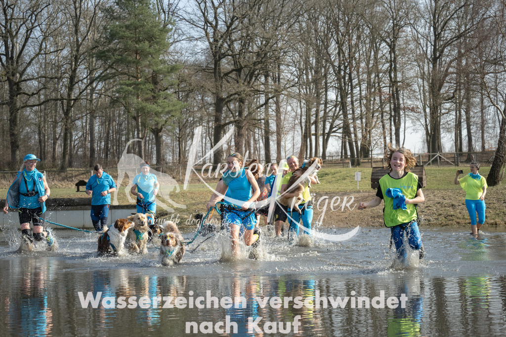1347_ZZ98134 | kk-dogfotos