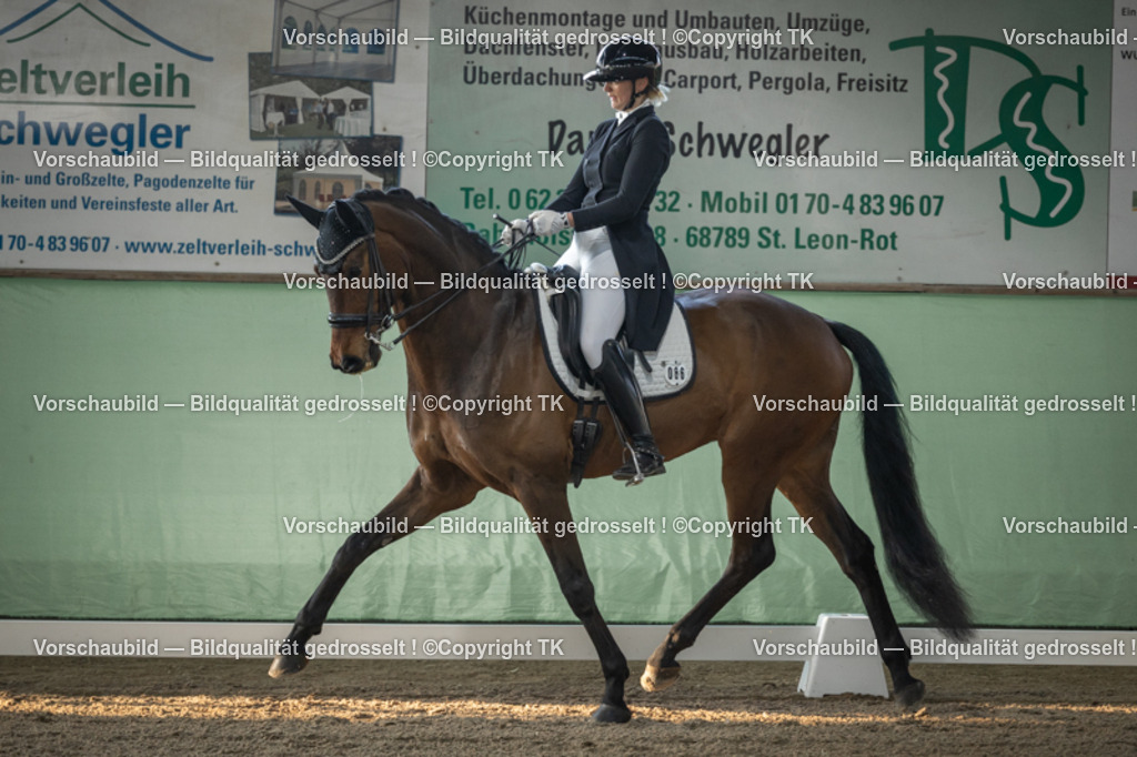 _D5A7767 | Emotionale Pferde- & People-Fotografie rund um Heidelberg, Leimen & Umgebung. Natürliche Fotos von Pferd, Mensch & Familie. Jetzt Termin sichern!