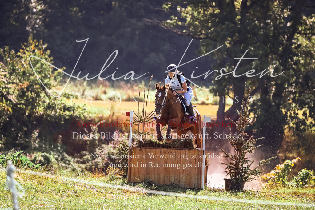 DSC_1662 | Pferde- und Turnierfotografie in Westsachsen. Pferdeportraits, Auftragszeichnungen und intuitive Kunst.