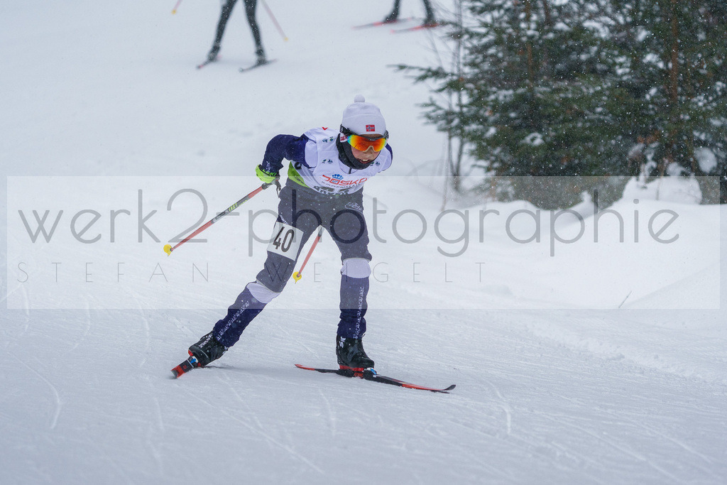 DSC Arber | Bayerischer Wald am 9. bis 12. Februar 2023
