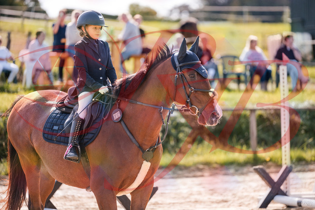 2026_10_03_Siefer-Hof_143840_Z81_09253002 | Professionelle Reitsport-, Turnier- und Eventfotografie von Robert Broda. Galerien mit ausgewählten und bearbeiteten Bildern direkt online ansehen und bestellen.