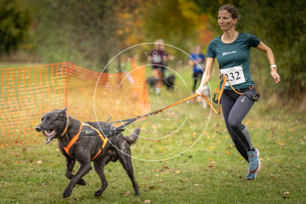 Pfotenfotografie_DV3A4738 | Hundefotografie, Tierfotograf, Pfotenfotografie, Fotoshooting Hund, Hunde Portrait, Hundesport, Hundeportraits, Heideshooting, Hunde, Sportfotograf, Hundefotograf, Turnierhundsport, THS,  - Realisiert mit Pictrs.com