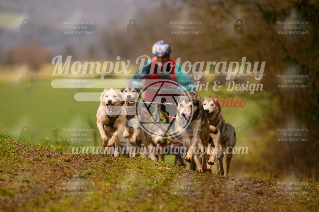 MompixPhotography_2SSTSSBW_2025_SO_Kart-47 | PayLife