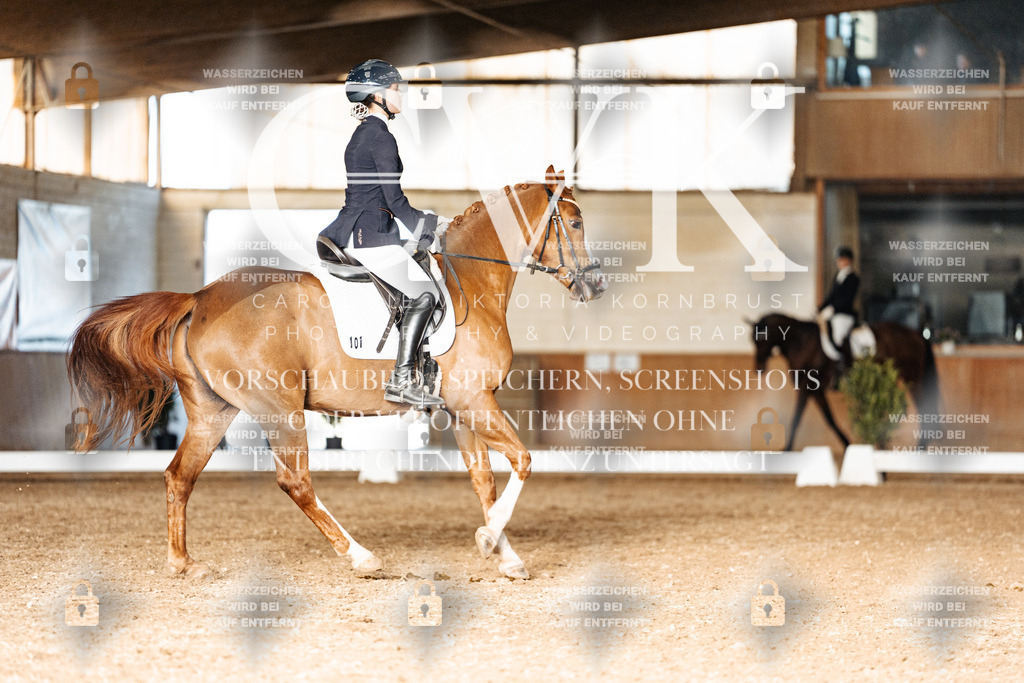 CK903029 | Turnierfotografie Pferdefotografie Trier Rheinland-Pfalz Pferdesport Reitsport Tierfotografie Sportfotografie Pferdevideo Pferdevideografie Equestrianvideography equestrianphotography  - Realisiert mit Pictrs.com