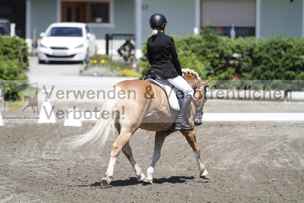 _MG_3787 | equestrian-live-com