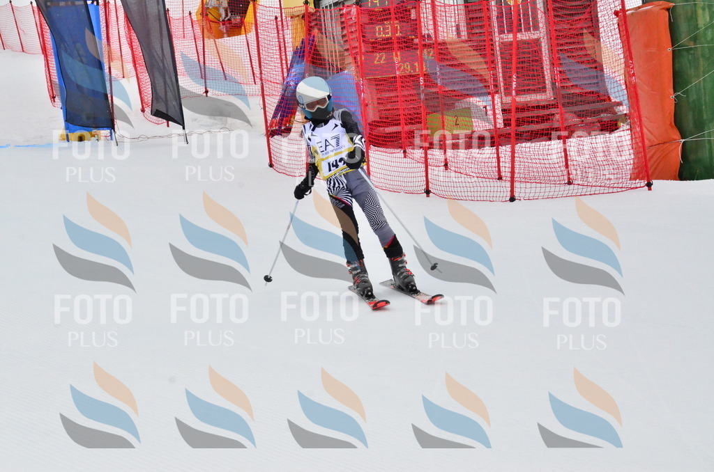 _ELE3769 | holidayphoto